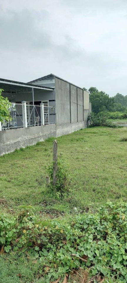 Cần tiền mùa dịch nên ra đi lô đất Củ Chi, sổ riêng 162m2 giá 1,3 tỷ
