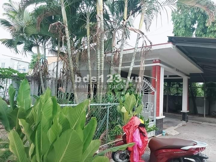 Bán sân vườn Lê Thị Hồng gần Hóc Môn, dt 313m2, ngang khủng 16m, chỉ 8.5 tỷ thương lượng