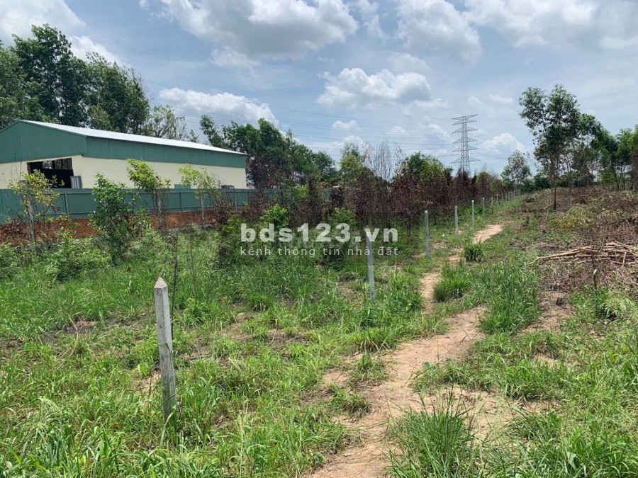 Bán đất Vườn Củ Chi giá 680 triệu, diện tích gần 300m2, SHR công chứng ngay