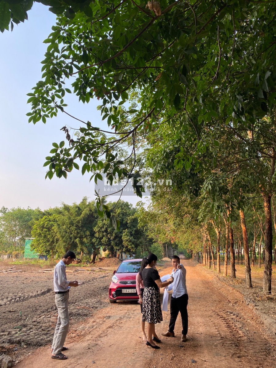Bán đất trung tâm thị trấn Tân Châu, Tây Ninh giá rẻ