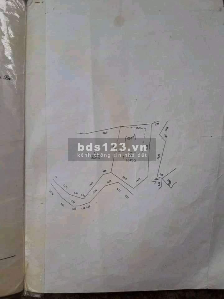 Mảnh đất rừng thông Bản Áng ngay trung tâm Mộc Châu 0822356688
