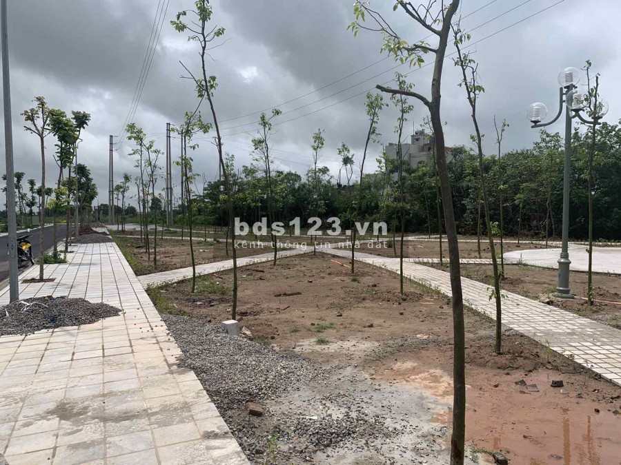 Đầu Tư Đất Nền Sinh Lời Nhân 3 – Cạnh Khu Công Nghiệp Tiền Hải Thái Bình
