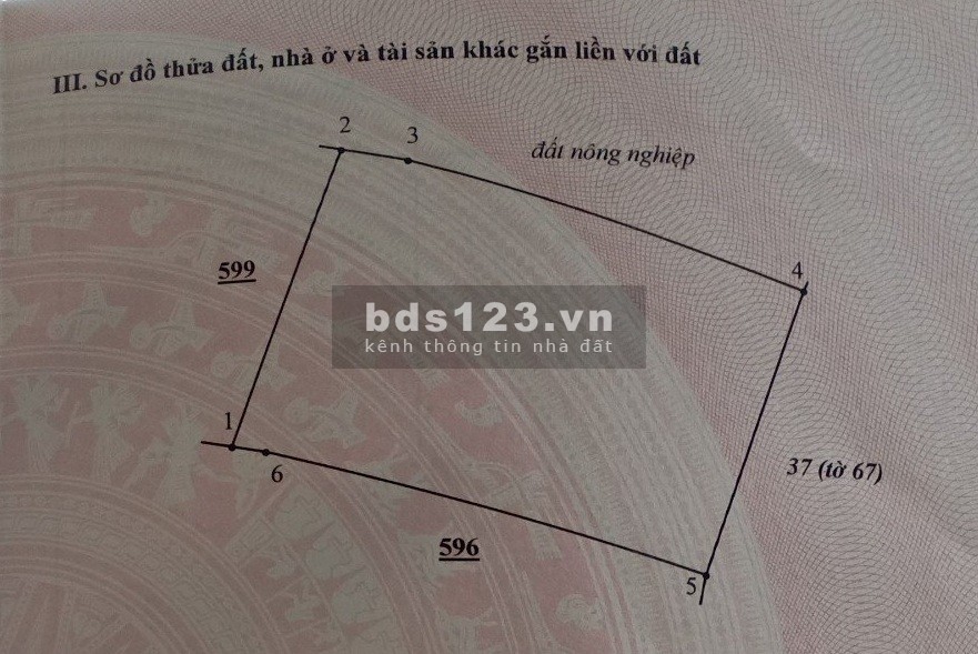 Bán 4.000m2 tại Thôn 5 Hàm Đức, Bình Thuận. Giá 400 Triệu/1.000m2