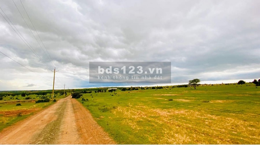 ĐẤT BÌNH THUẬN MẶT TIỀN ĐƯỜNG LIÊN HUYỆN 5300m2