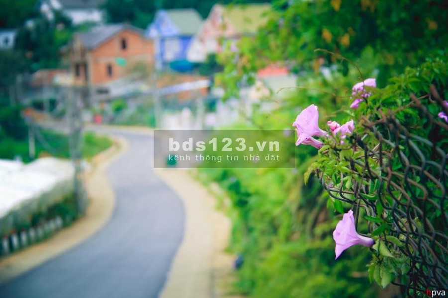 Nền nghỉ dưỡng giá rẻ thành phố Bảo Lộc, diện tích 316m2 (19x20)