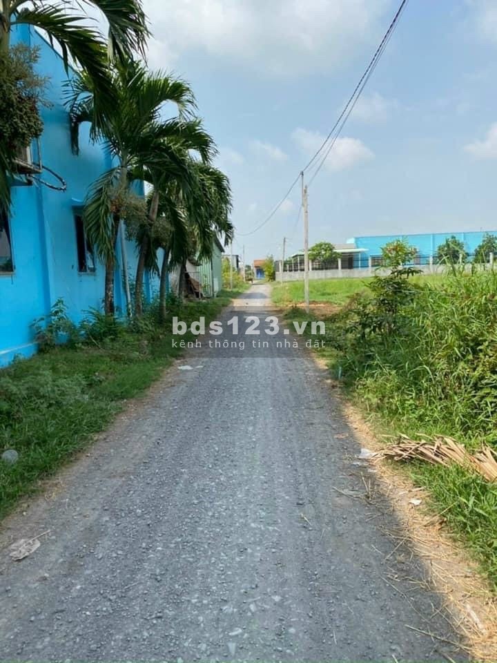 Chủ ngộp bán gấp 160m2 thổ, SHR giá 750TR, Hòa Khánh Đông