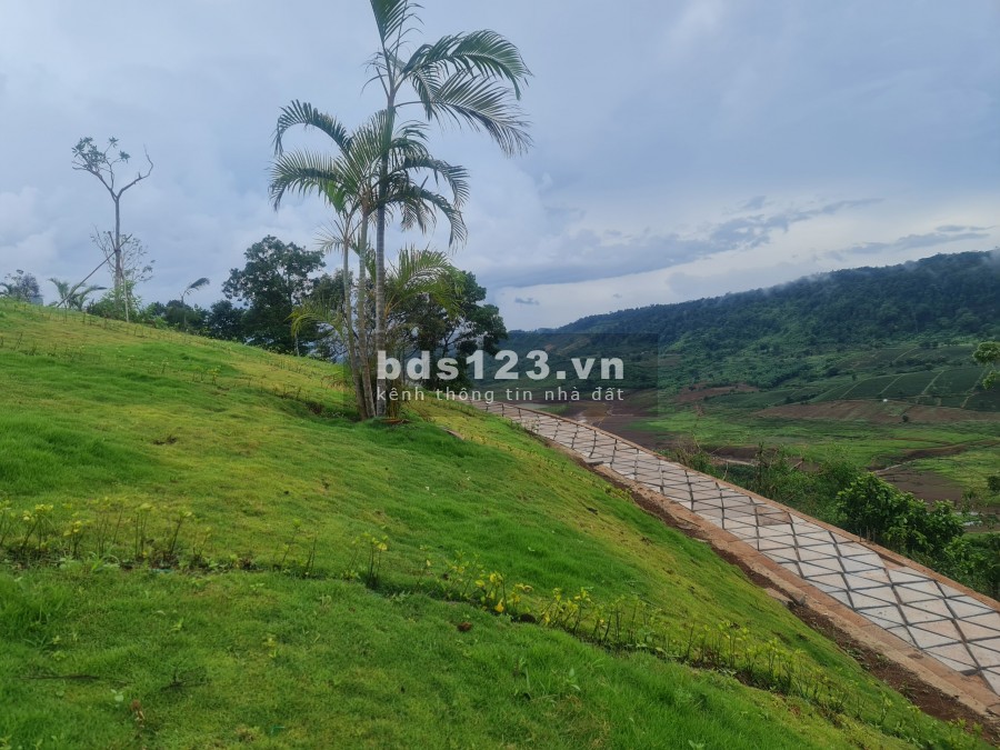 Đất nền nghĩ dường Amavi Farm, view hồ Đảo Ngọc, Lộc Tân đẹp nhất Bảo Lộc 4 triệu/m2, pháp lỷ sổ hồng