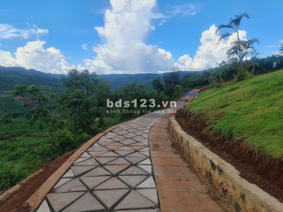 Đất nền nghĩ dường Amavi Farm, view hồ Đảo Ngọc, Lộc Tân đẹp nhất Bảo Lộc 4 triệu/m2, pháp lỷ sổ hồng