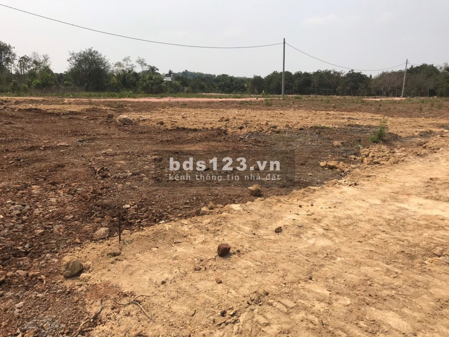 Bấn đất ngay khu công nghiệp Bàu Xéo, giá 199 triệu, dt 100m2, sổ hồng riêng, 0815215268
