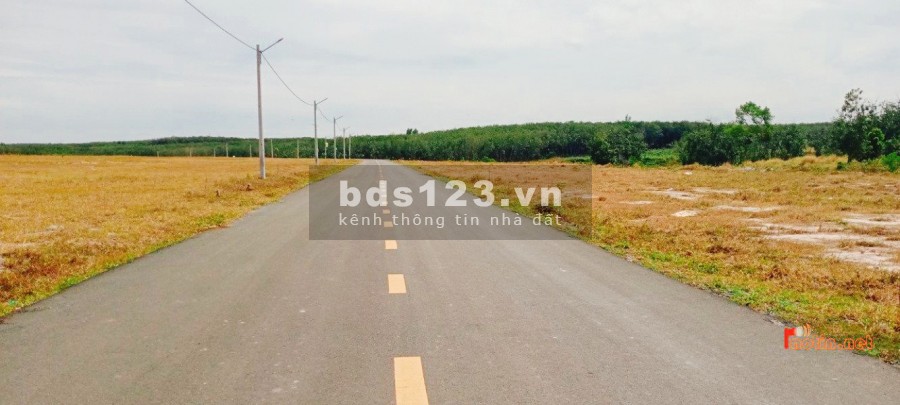 Gia đình tôi có mua 2 mẫu đất đường rộng 16m đối diện KCN cần bán để trả nợ