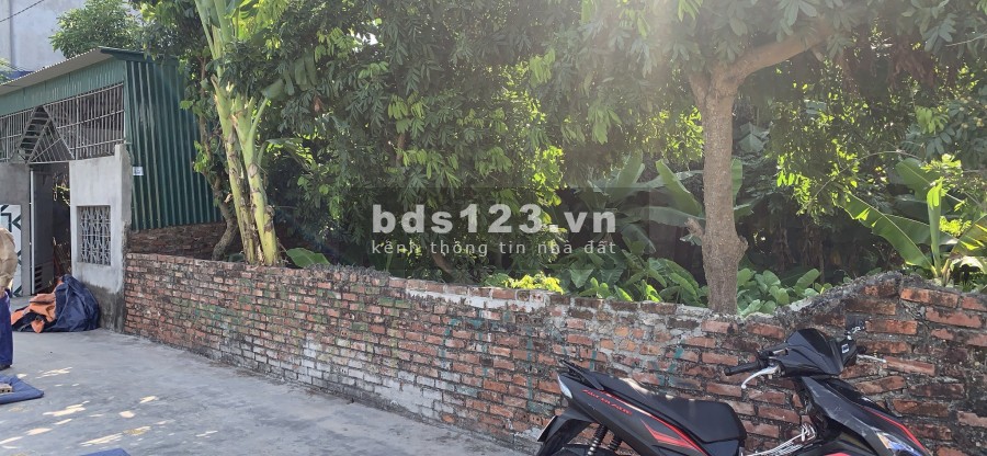 Cần bán 312m2 Đồng Hoà, Kiến An vị trí đẹp nằm trên mặt ngõ rộng 4-5m