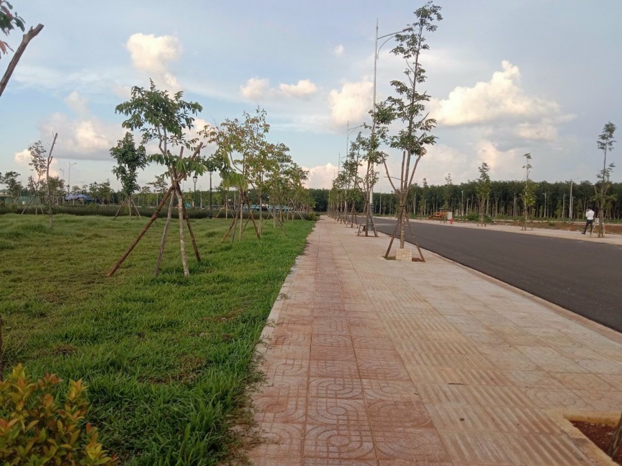 Xu hướng đầu tư năm 2021 đất nền, Sổ Đỏ KĐT Ân Phú lên ngôi