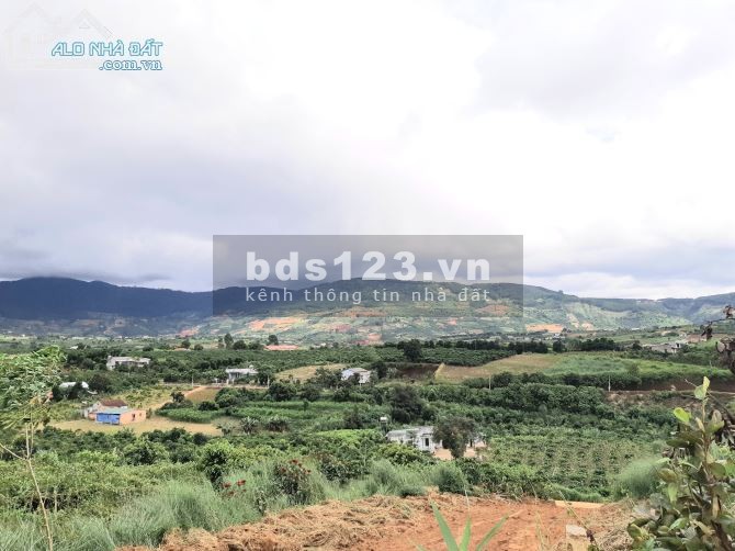 Đất Xào Lộc Châu diện tích 10000m2 giá 16 tỷ, pháp lí chính chủ