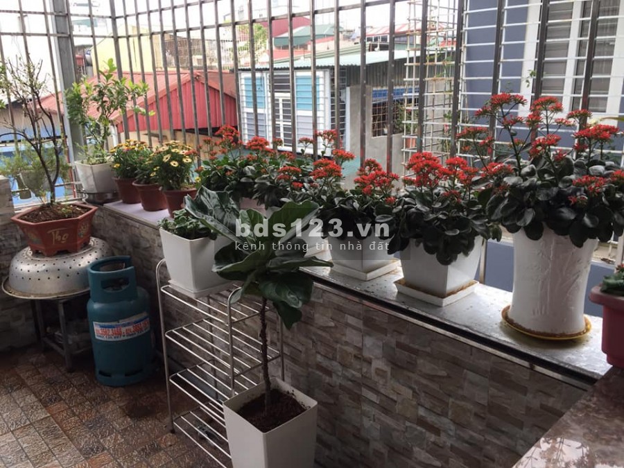 Nhà siêu hiếm phố Thái Thịnh Đống Đa 5 tầng thang máy kinh doanh 2 mặt thoáng