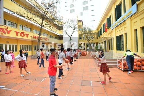 Kinh doanh shop thời trang thua lỗ nên tôi cần bán gấp 2 lô đất, nằm trong khu đô thị