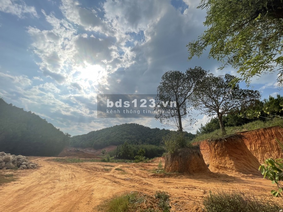 Mảnh đất 2,5ha có suối chảy qua, ngay gần khu resort Ecogarden Mộc Châu