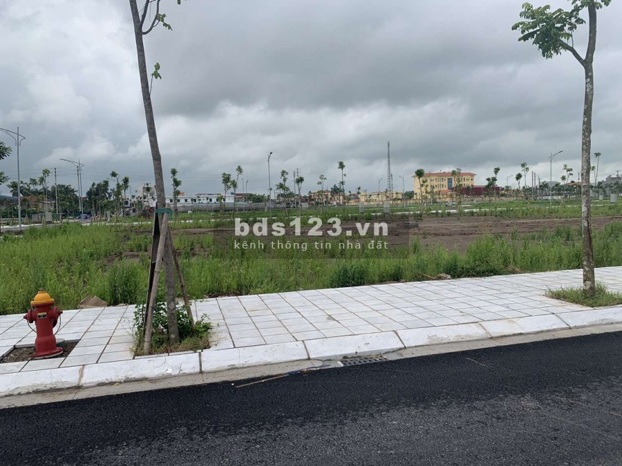 2,3 Tỷ 1 Lô – Sở Hữu Ngay Đất Nền Cạnh Khu Công Nghiệp Sinh Lời Cực Cao - Tiền Hải Center