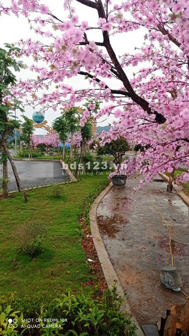 Đất nền ven biển cẩm phả ngay trên đường bao biển