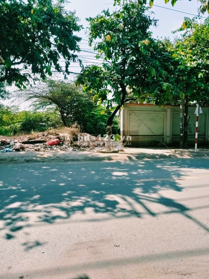 Đất mặt tiền đường Nguyễn Thị Tồn Bửu Hoà Biên Hoà