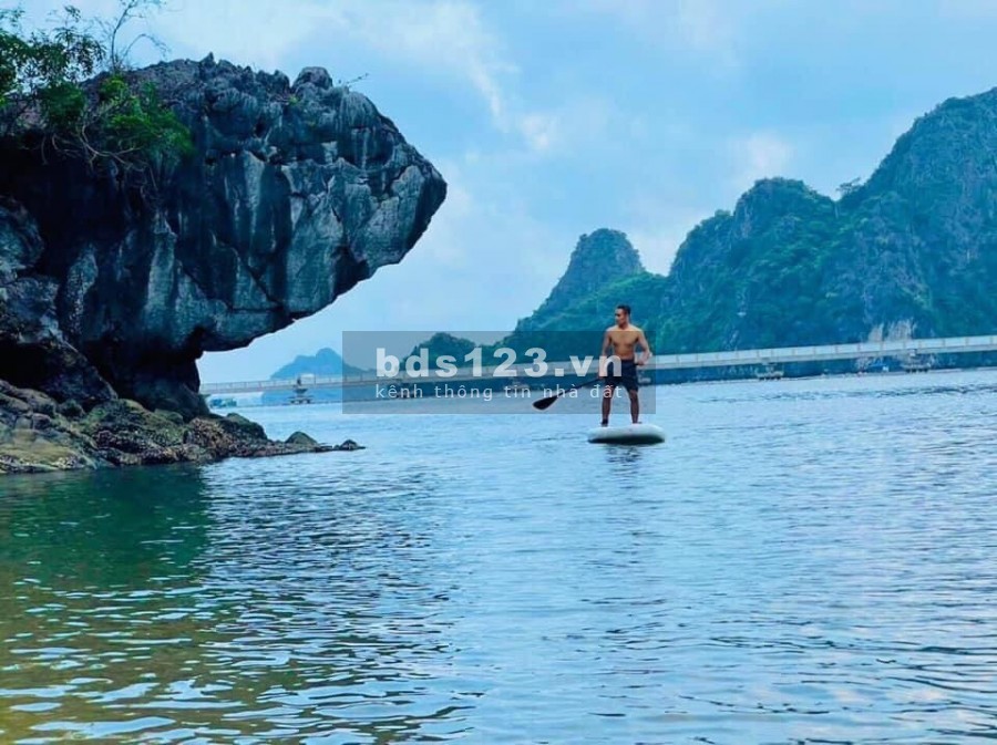 Green Dragon Cẩm Phả Quảng Ninh, liên hệ để được tư vấn 0366786339