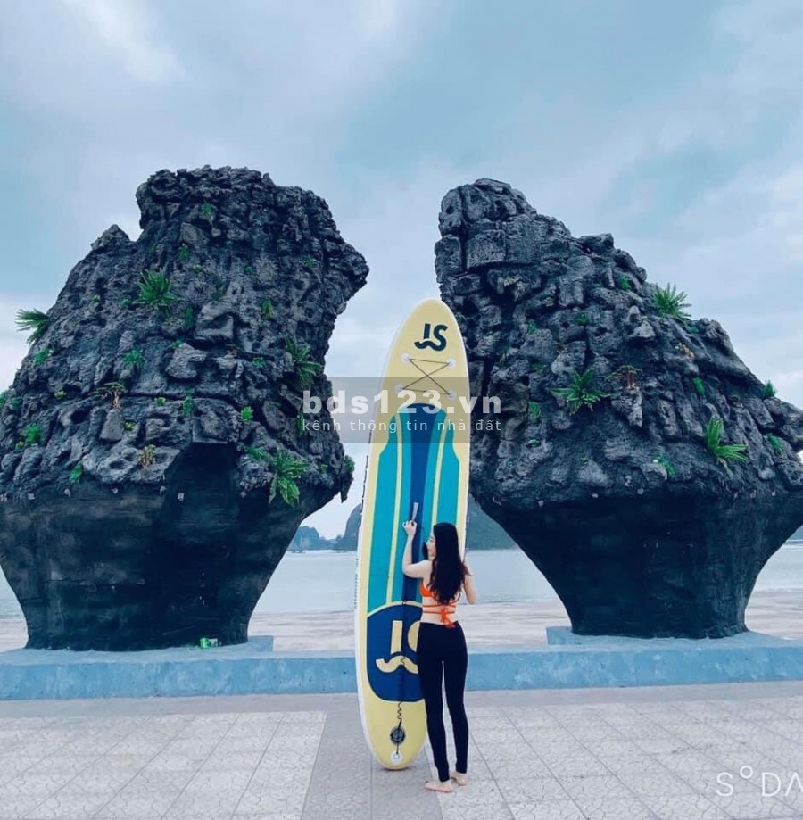 Green Dragon Cẩm Phả Quảng Ninh, liên hệ để được tư vấn 0366786339
