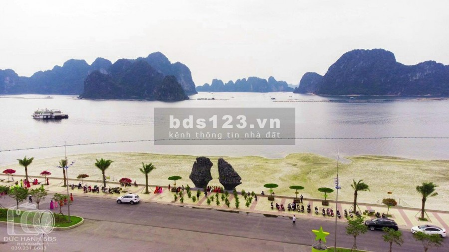 Green Dragon Cẩm Phả Quảng Ninh, liên hệ để được tư vấn 0366786339
