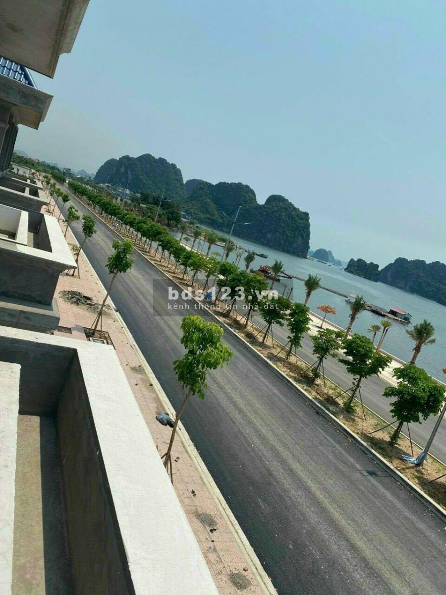 Green Dragon Cẩm Phả Quảng Ninh, liên hệ để được tư vấn 0366786339