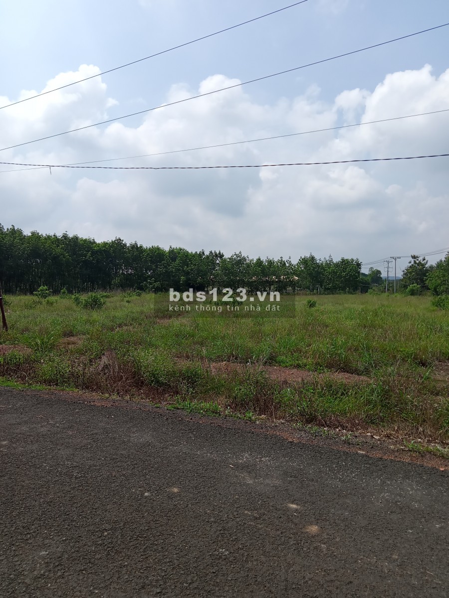 Đất nền tân Hưng đồng Phú giá đầu tư lh 0908.010.329 em kim ba
