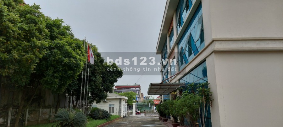 Cho thuê tòa nhà phù hợp trường mầm non - các loại trung tâm hoặc trụ sở công ty