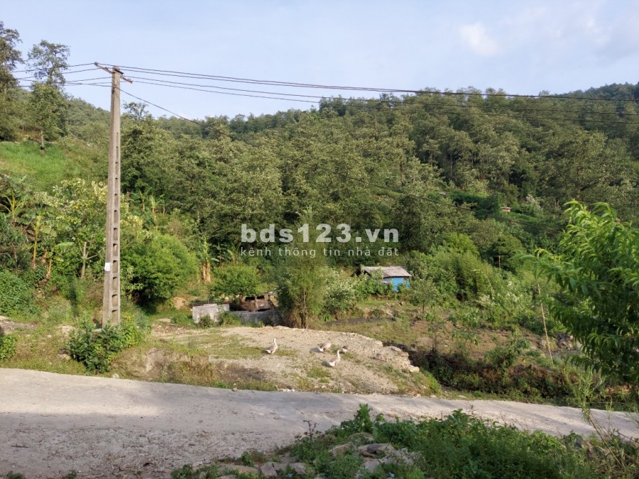 Bán mảnh đất 1900m2 ở Phan Cán Sử, view đẹp, giá rẻ hiếm có