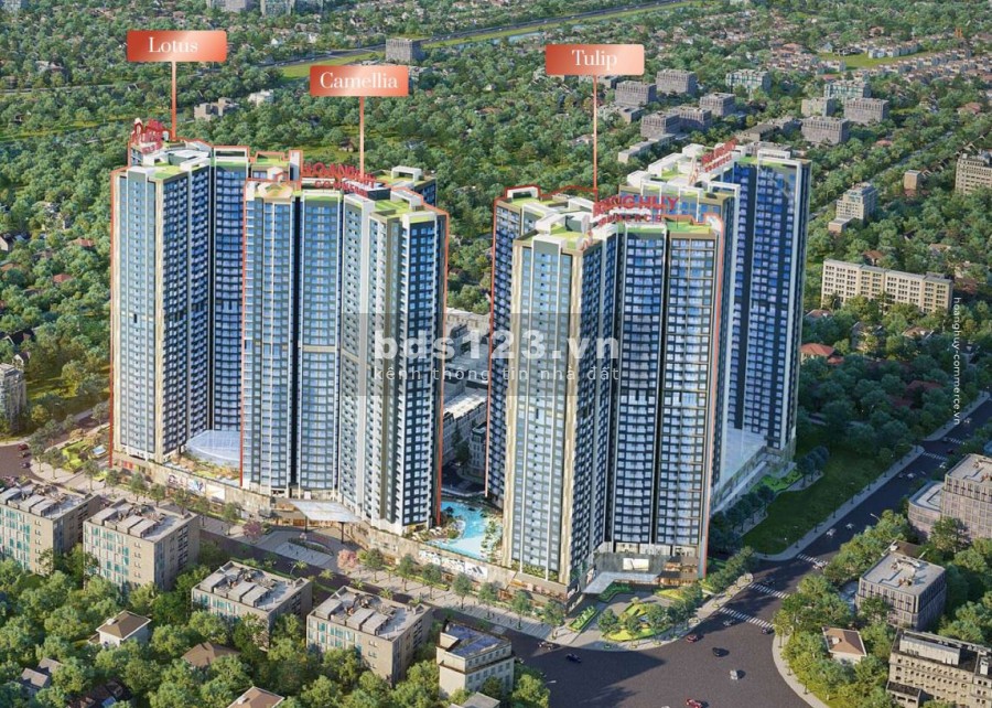Kiệt tác Hoa Trà (Camellia) giữa thành phố cảng chính thức ra mắt, chung cư Hoàng Huy Commerce