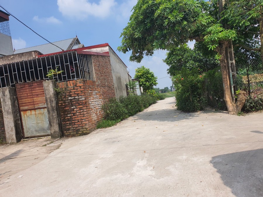 Chính chủ Bán Đất Ninh Môn Hiền Ninh Lô Góc 116M Đường 5m
