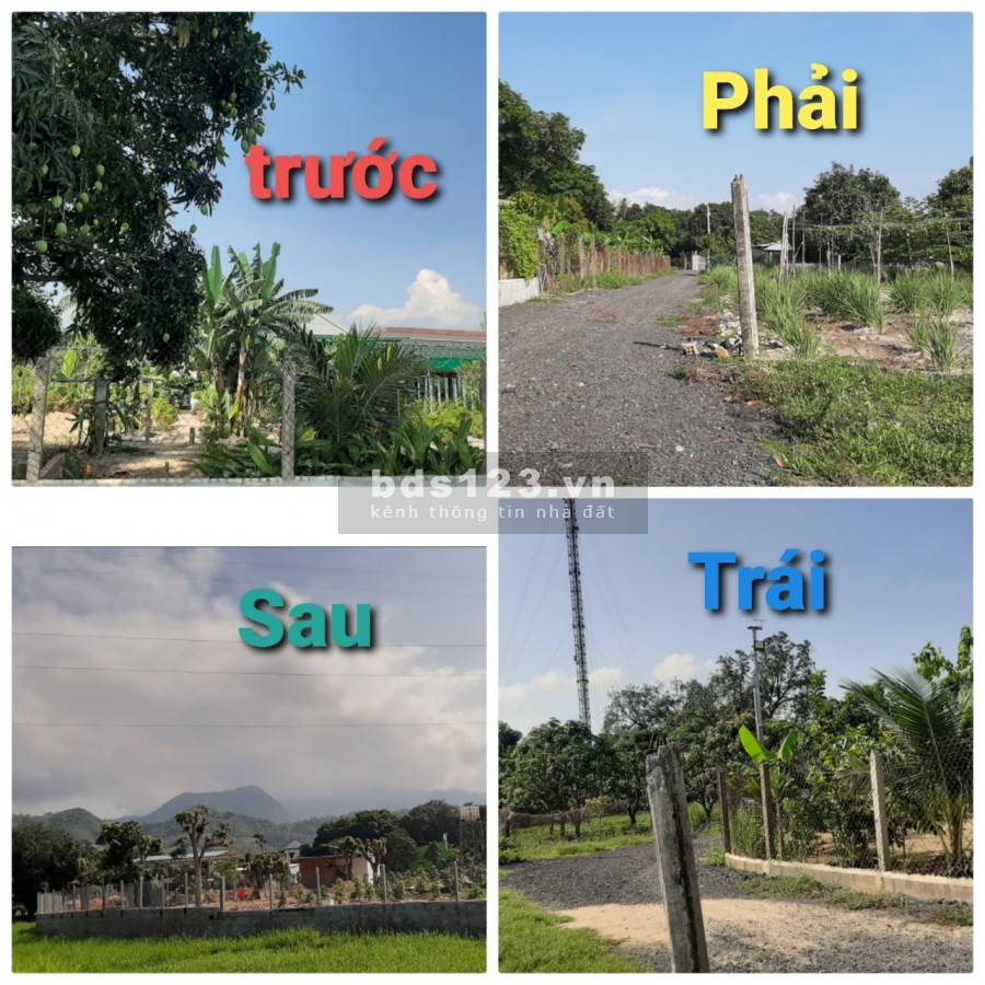 Bán Đất chợ Cam Tân, huyện Cam Lâm, Khánh Hòa, dân cư đông đúc 0905906256