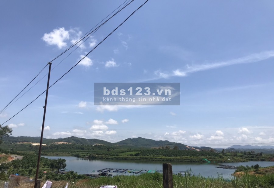 Đất Bảo Lộc 12x43m sát đường nhựa chỉ 1.45 tỷ.