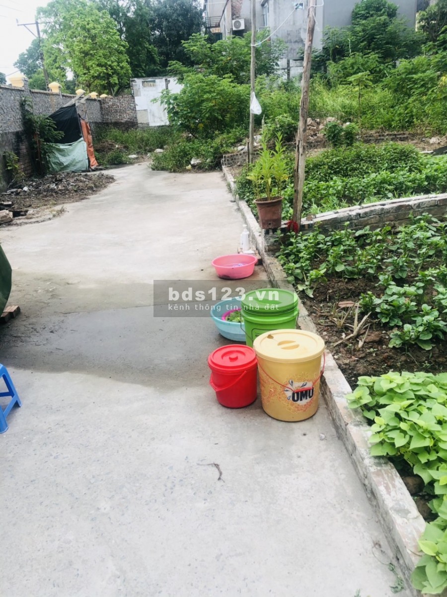 Bán đất Ngô Xuân Quảng Trâu Quỳ Gia Lâm, đường oto 7 chỗ giá 1.89 tỷ
