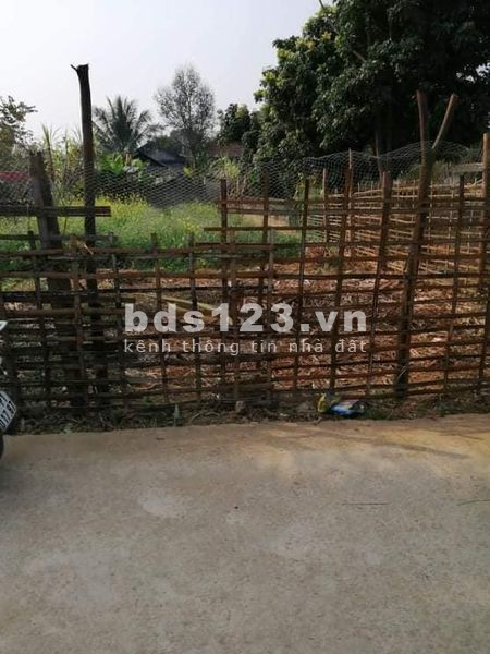 Bán đất tại đội 12 xã Thanh chăn, Điện Biên, pháp lí chính chủ, giá 650 triệu