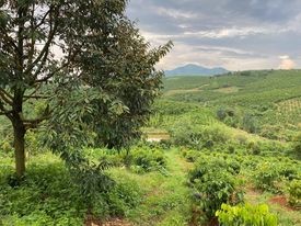 Chính chủ cần bán lô đất bằng view đẹp mặt tiền Lý Thái Tổ tp Bảo Lộc