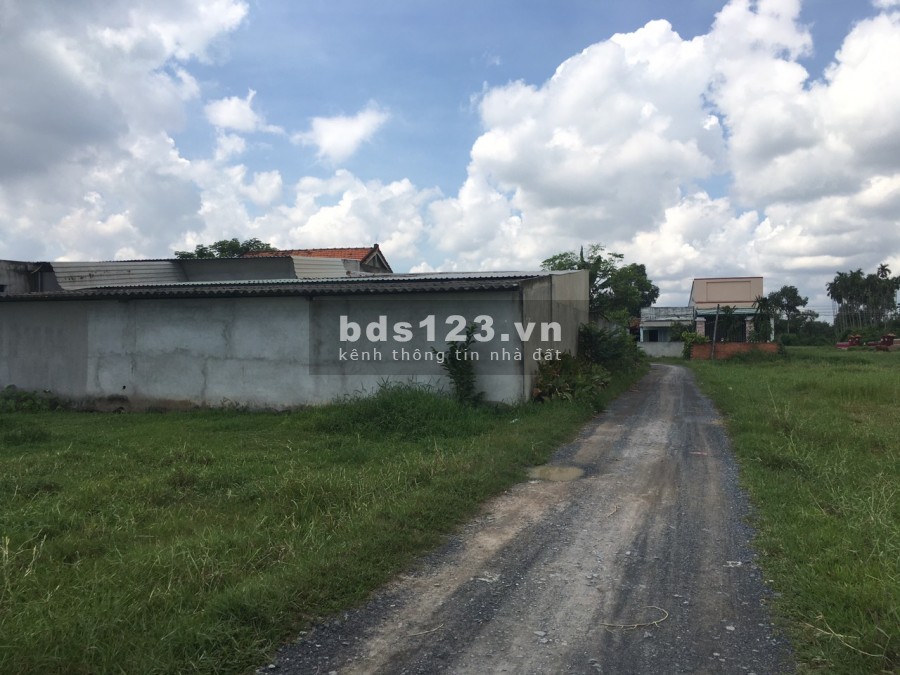 Phá sản chính chủ bán gấp 500m2, sổ hồng riêng giá 1,2 tỷ Hòa Khánh Đông, Đức Hòa