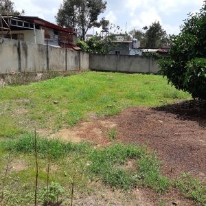 Cần bán đất vị trí đẹp tại Bảo Lộc, giá bán 15 tỷ, liên hệ 0355525520