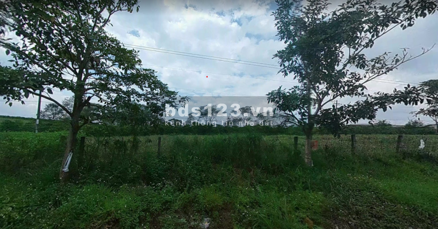 Đât Nền Mặt Tiền Nguyễn Viết Xuân Giá 1 Tỷ 2 Diện Tích 500M2