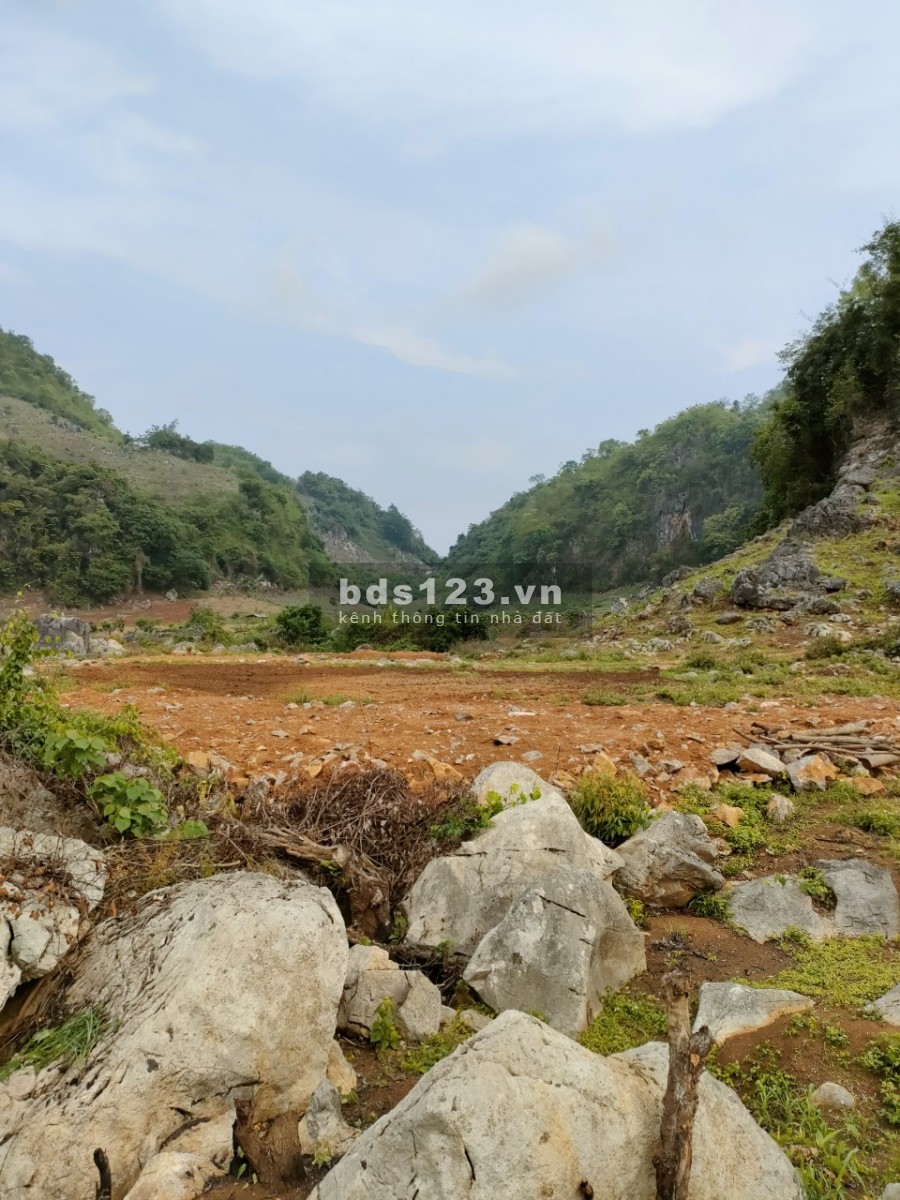 Bán nhanh lô 6000M2 – Đông Sang, Mộc Châu, Sơn La giá siêu xinh