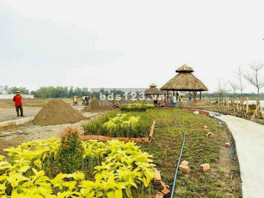 Dự Án Đất Nền Gần KCN Xuyên Á tung tâm Đức Hòa giá rẻ, đủ giấy tờ