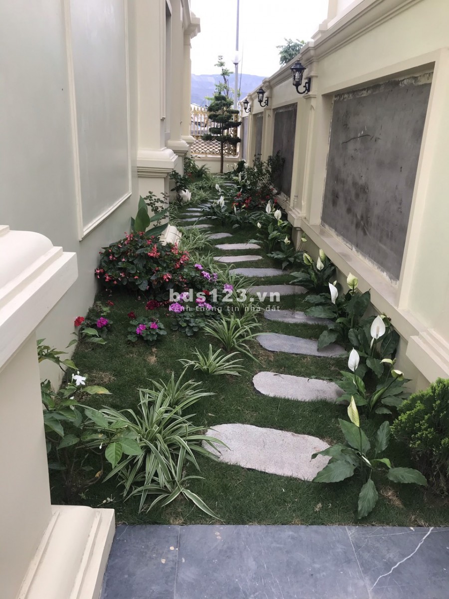 Đô thị nghỉ dưỡng du lịch ven biển dự án đẳng cấp Green Dragon City