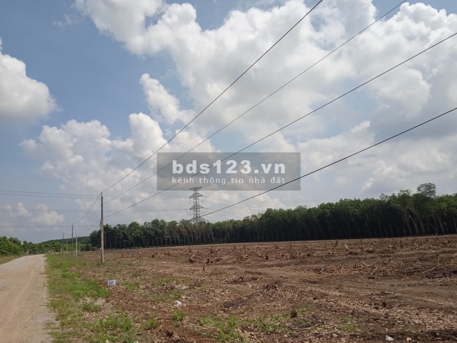 Cần thanh lý gấp 2 lô liền kề ( 150m2 ) Tân Tiến Đồng Phú, giá 780 triệu