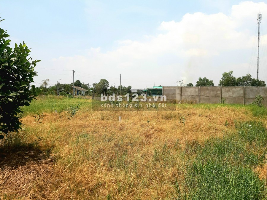 Cần bán mảnh đất 300m2 thổ + 944m2 vườn, vuông vức, đường Ấp 3 xã Long An, Giá chỉ 3,1tr/m2