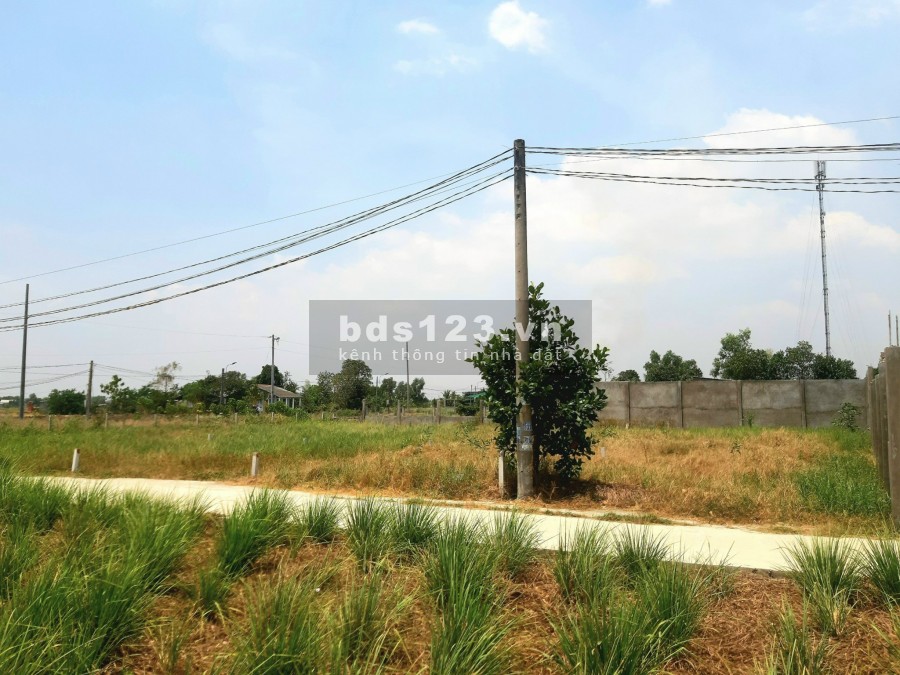 Cần bán mảnh đất 300m2 thổ + 944m2 vườn, vuông vức, đường Ấp 3 xã Long An, Giá chỉ 3,1tr/m2