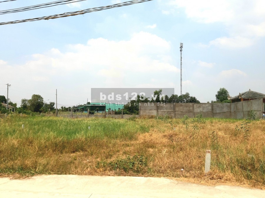 Cần bán mảnh đất 300m2 thổ + 944m2 vườn, vuông vức, đường Ấp 3 xã Long An, Giá chỉ 3,1tr/m2