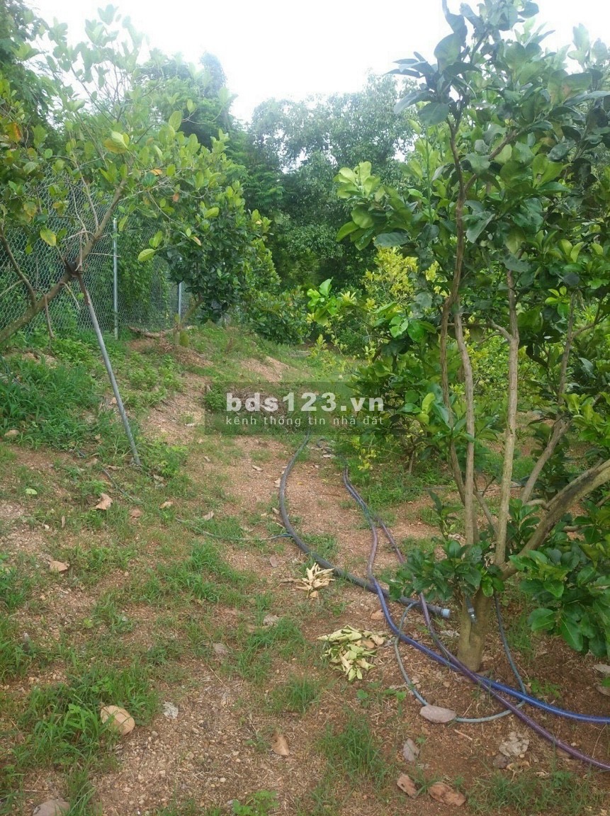 Bán đất Vườn Vĩnh Tân Vĩnh Cửu 1200m2 giá 1tỷ, sổ hồng riêng