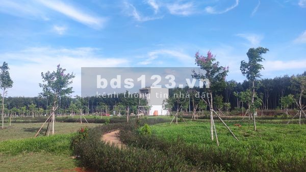 Bán lô đất mặt tiền đường nhựa 21m cách trường Hoàng Việt chỉ 500m