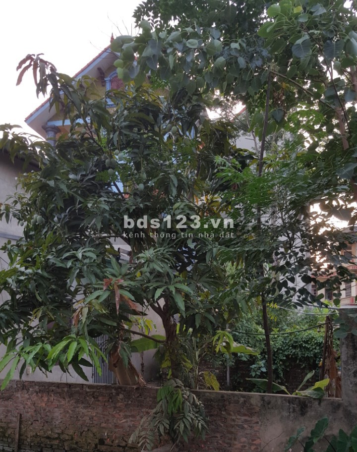 Bán nhà nguyên căn cấp 4 Ngọc Hồi, ở sướng, yên tĩnh, dt 91m2, giá 1 tỷ hơn